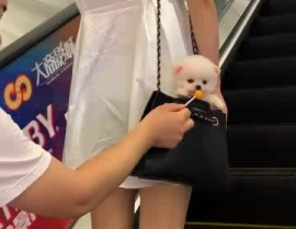 看小姐姐下面,探寻她的独特魅力与生活点滴