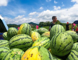 梁山网红景点吃瓜视频,揭秘幕后故事与热门话题