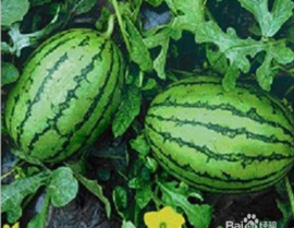 黑网料吃瓜网有病毒么,网络安全需重视