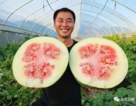 她已认不得人却始终忘不了让你吃瓜91吃瓜
